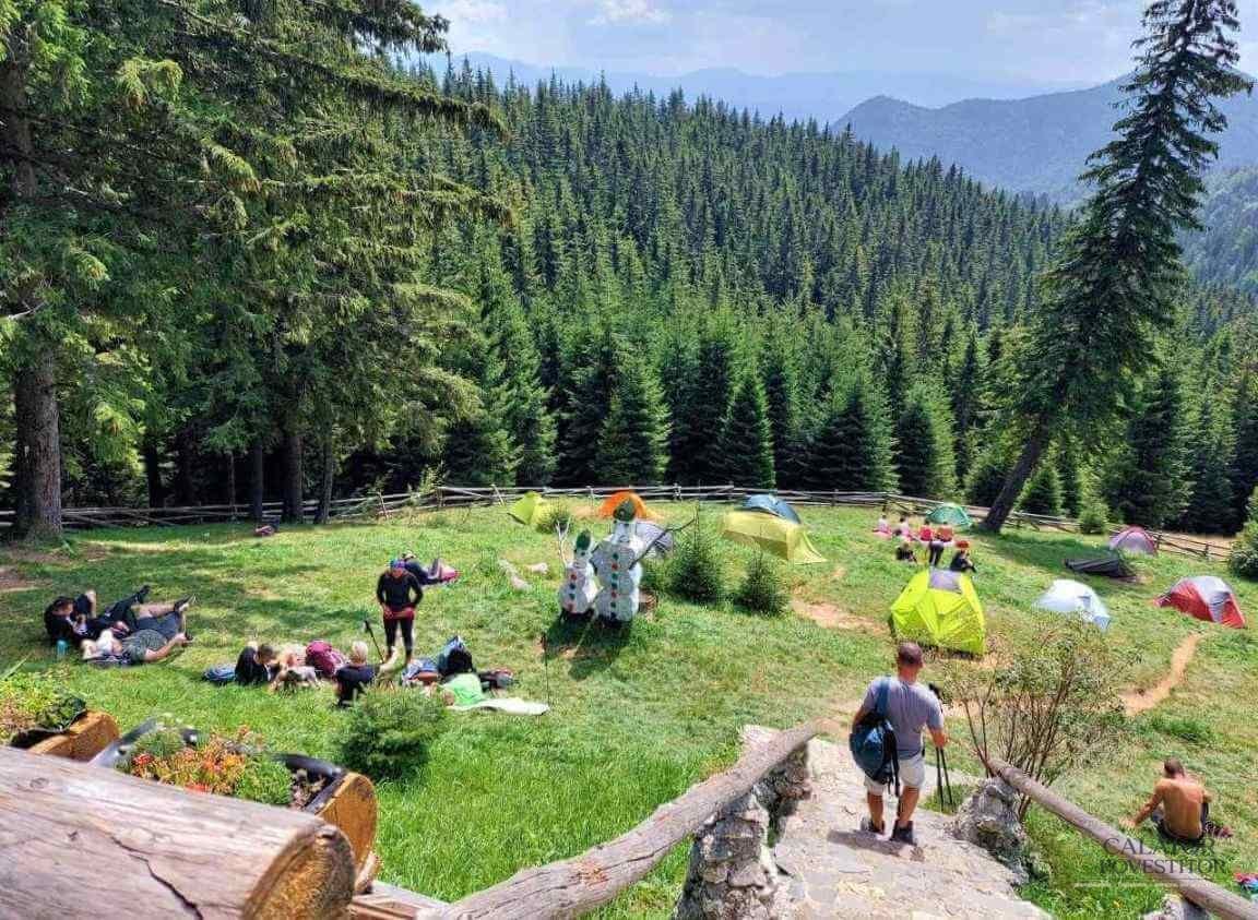Trasee montane Piatra Craiului - cabana Curmatura