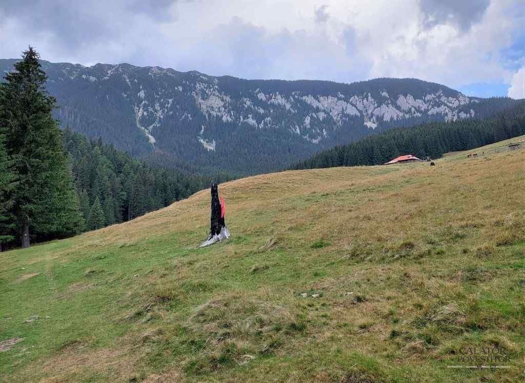 Trasee montane Piatra Craiului - cabana Curmatura