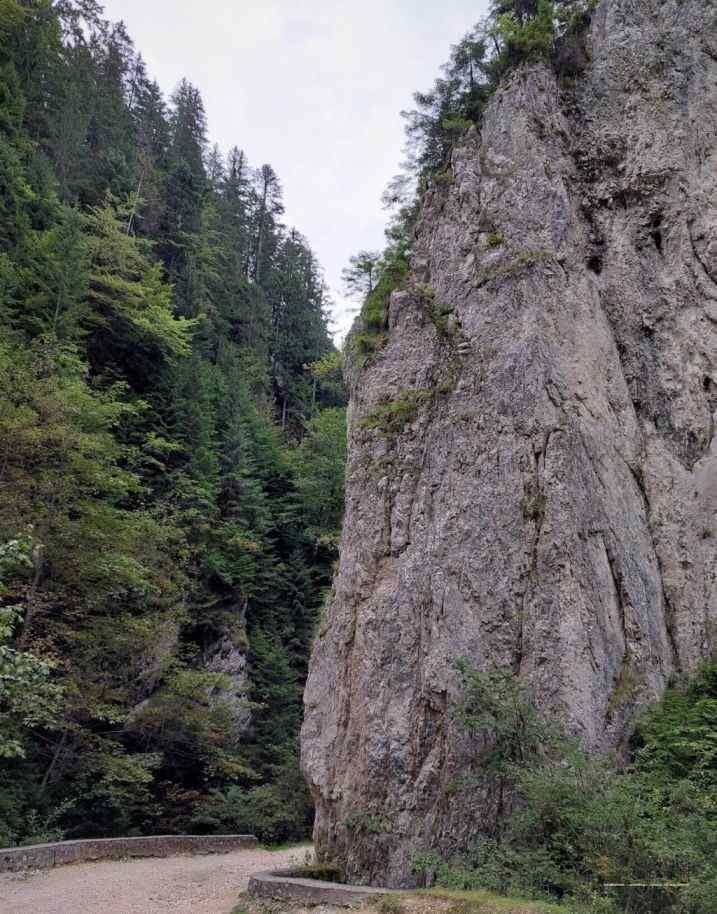 Trasee montane Piatra Craiului - cabana Curmatura
