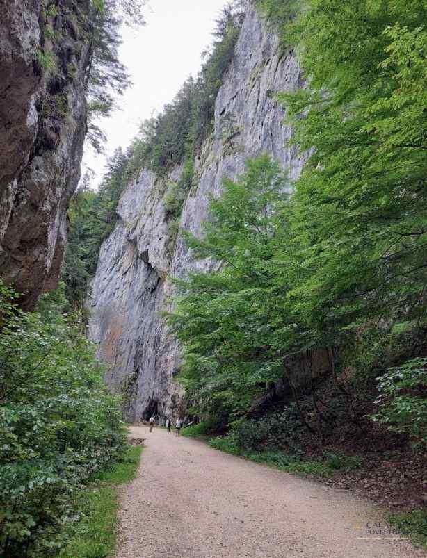 Trasee montane Piatra Craiului - cabana Curmatura
