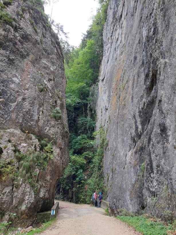 Trasee montane Piatra Craiului - cabana Curmatura