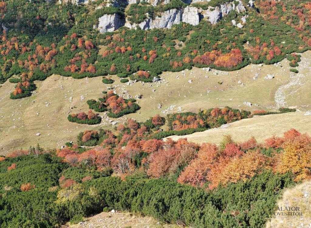 Trasee montane Bucegi – Cascada Obarsia Ialomitei