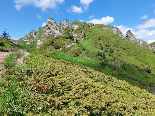 Traseul spre varful Ciucas - o calatorie spre varfurile Carpatilor