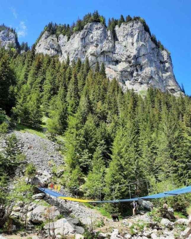 Trasee montane din Bucegi - Cheile Zanoagei