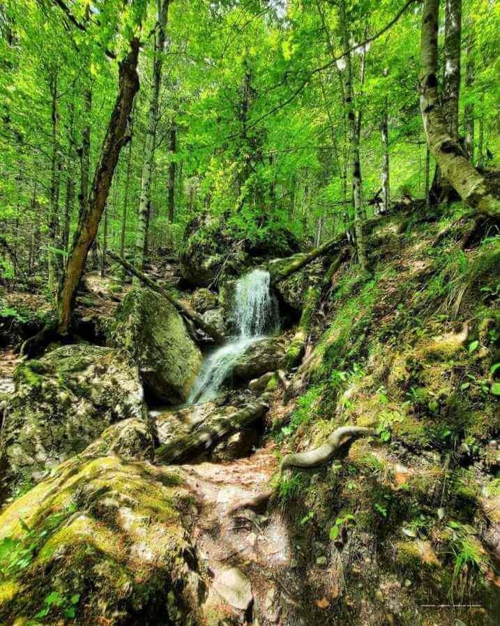 Trasee montane din Bucegi - Cheile Zanoagei