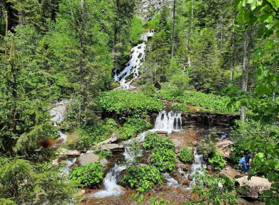 Trasee montane din Bucegi - Cheile Zanoagei