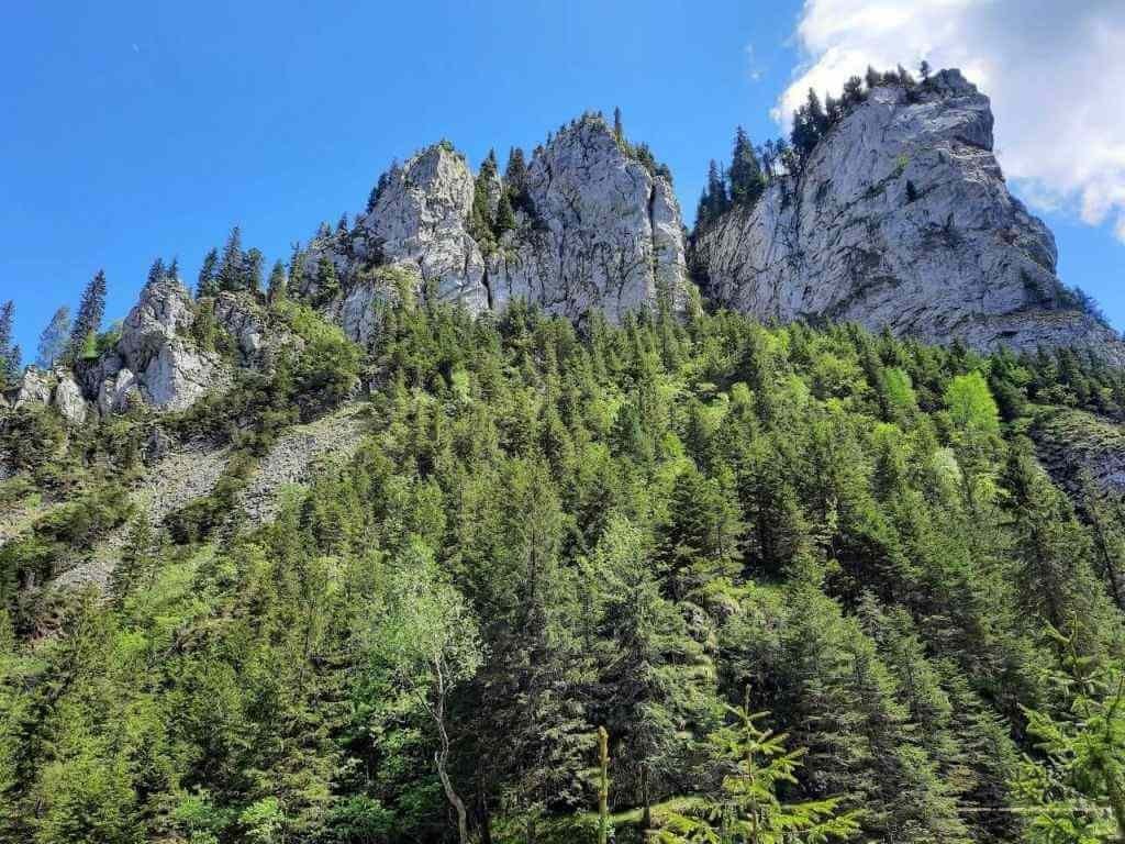 Trasee montane din Bucegi - Cheile Zanoagei