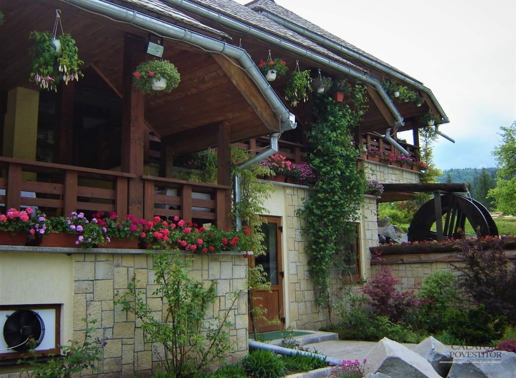Unde mancam in Bucovina