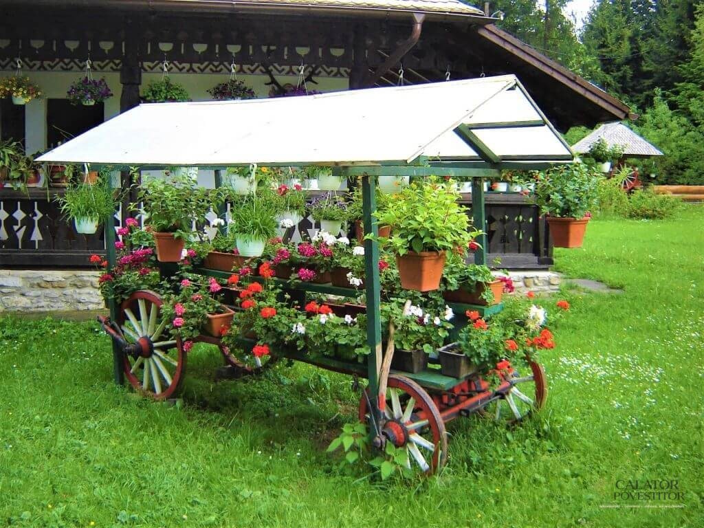 Unde mancam in Bucovina