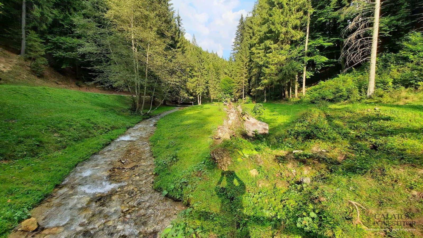 Vama Buzaului - oaza de relaxare departe de agitatia oraselor