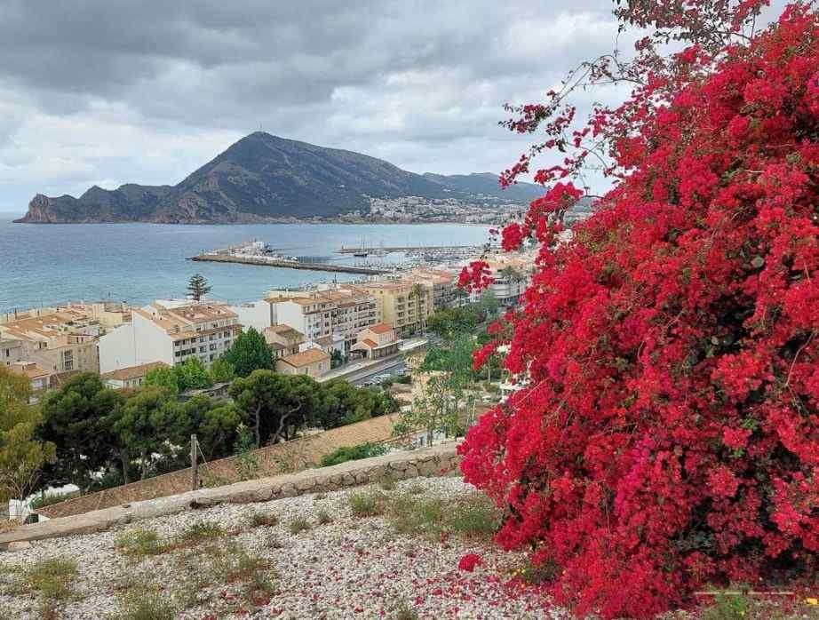 Altea si Villajoyosa – 2 destinatii superbe pe Costa Blanca — 7