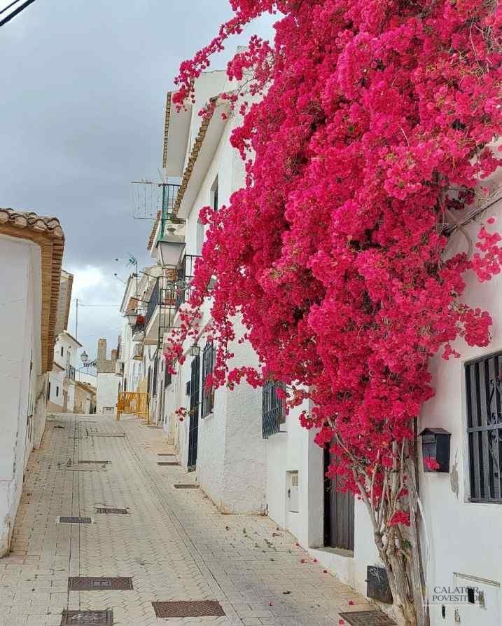 Altea si Villajoyosa – 2 destinatii superbe pe Costa Blanca — 14