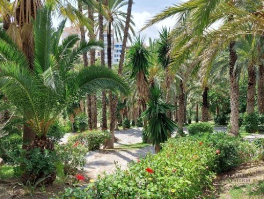 Atractii si activitati pe care sa nu le ratezi in Alicante si Elche — 26