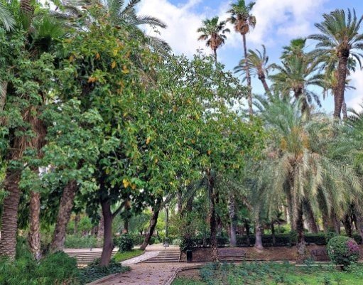 Atractii si activitati pe care sa nu le ratezi in Alicante si Elche — 28