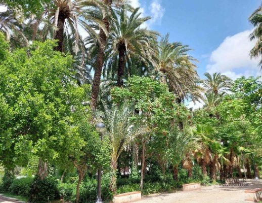 Atractii si activitati pe care sa nu le ratezi in Alicante si Elche — 30