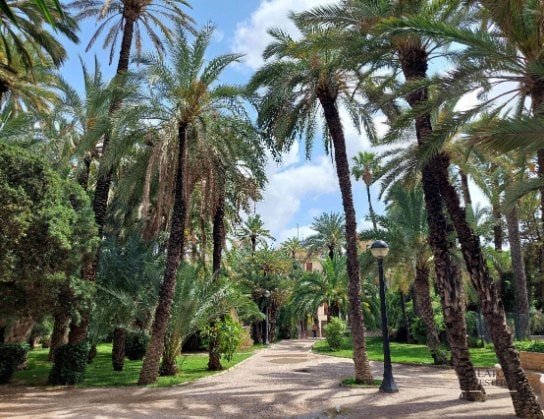 Atractii si activitati pe care sa nu le ratezi in Alicante si Elche — 31