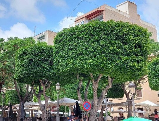 Atractii si activitati pe care sa nu le ratezi in Alicante si Elche — 33