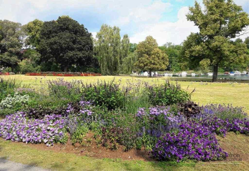 Djurgården