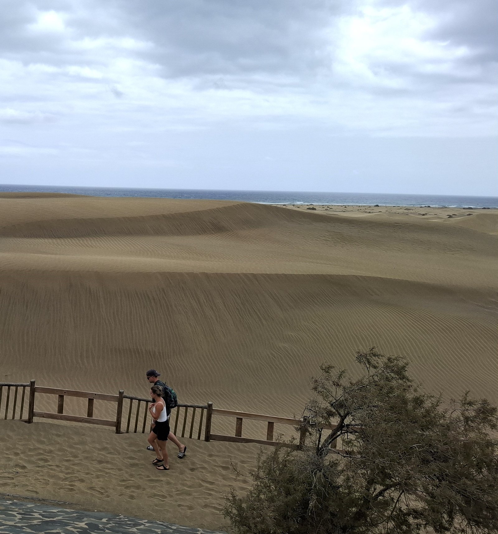 Dune Maspalomas-Gran Canaria