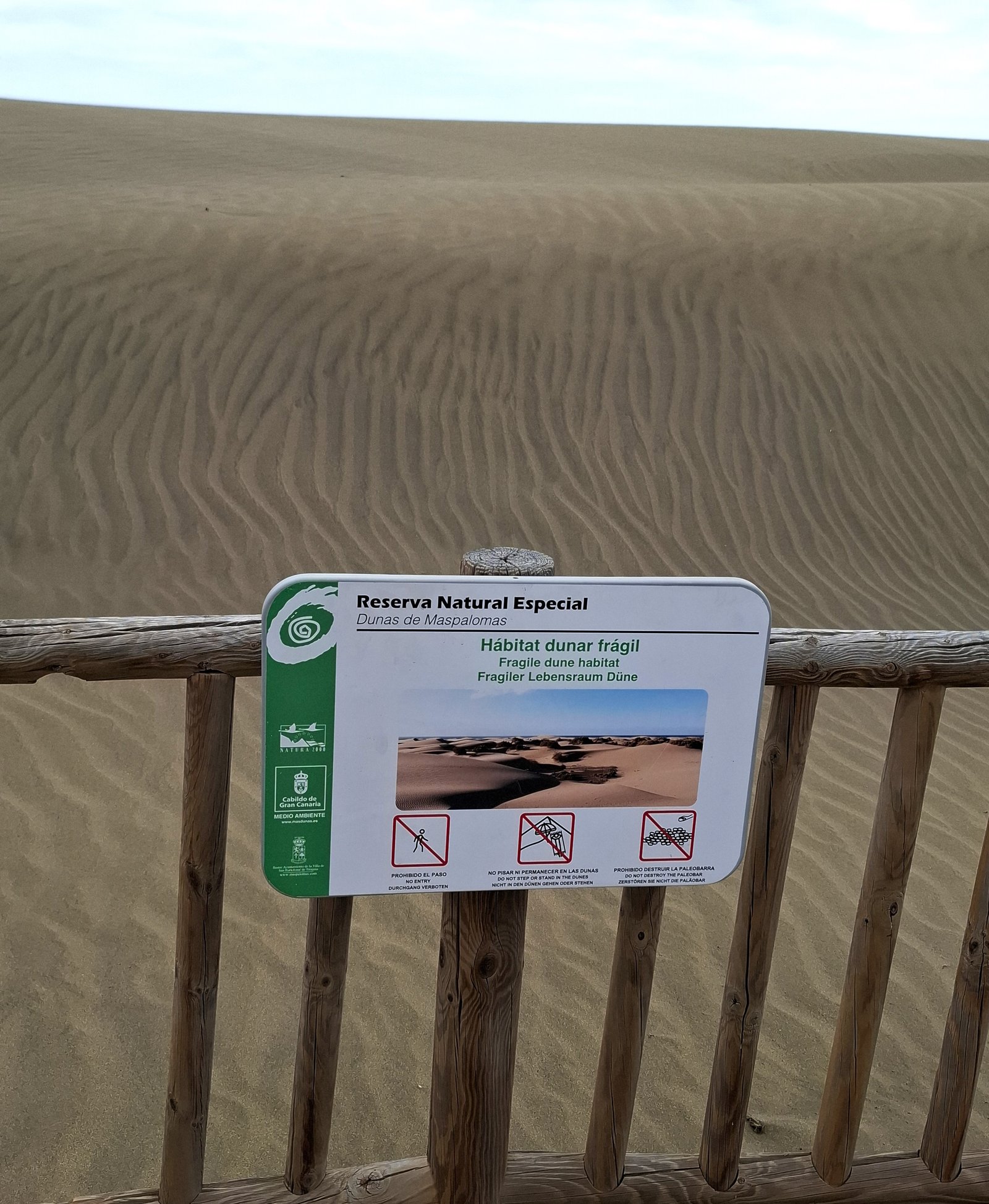 Dune Maspalomas-Gran Canaria