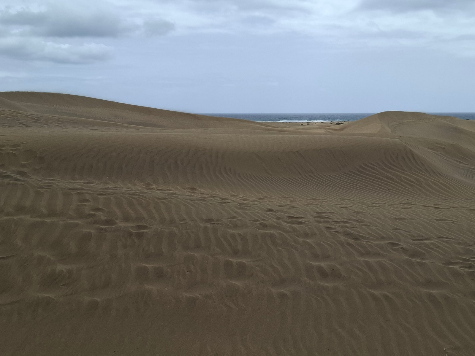Dune Maspalomas-Gran Canaria