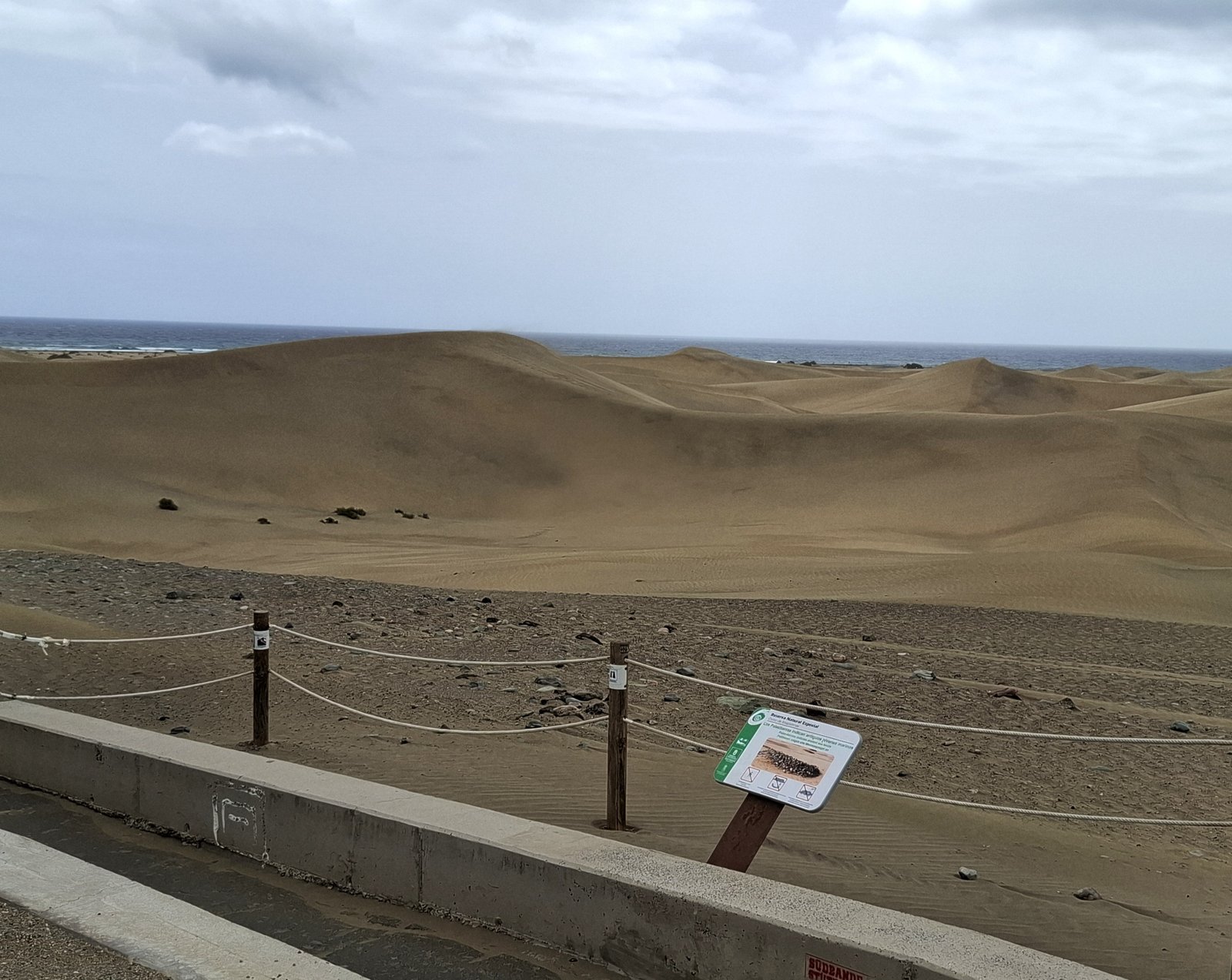 Dune Maspalomas-Gran Canaria