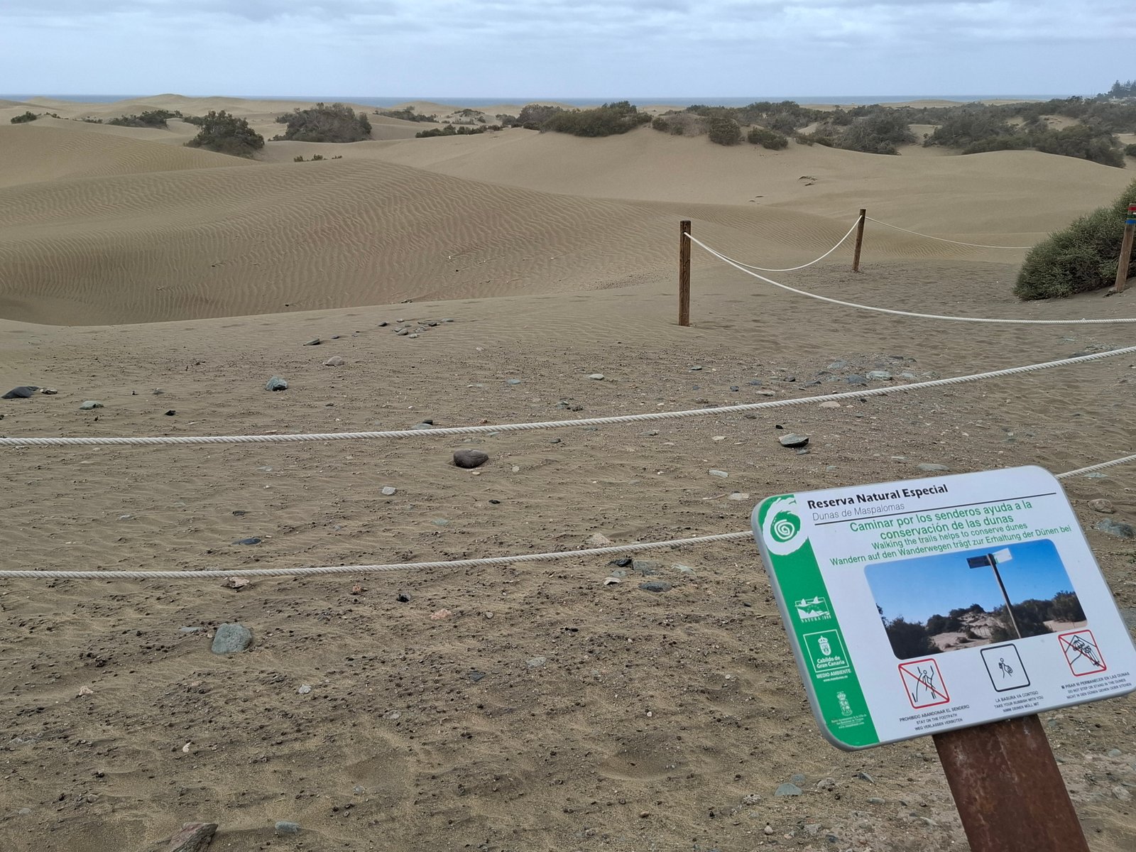 Dune Maspalomas-Gran Canaria