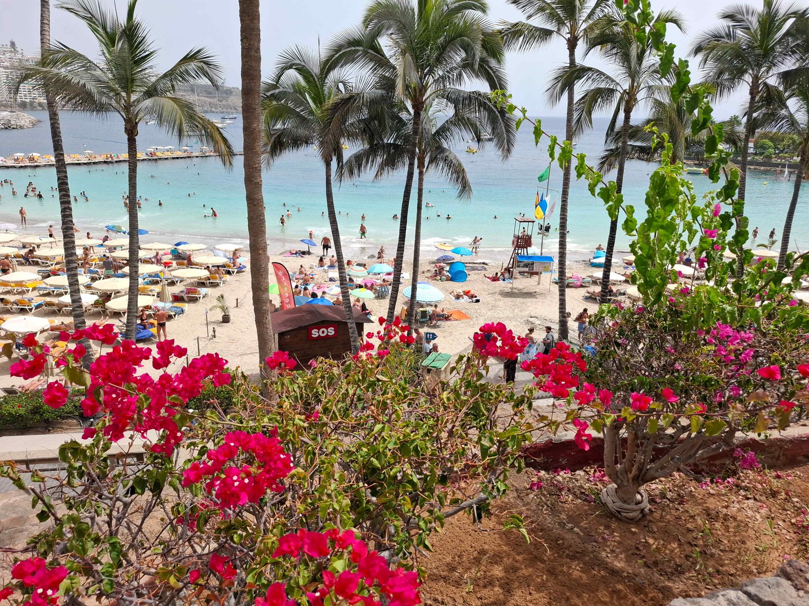 Plajele din Gran Canaria