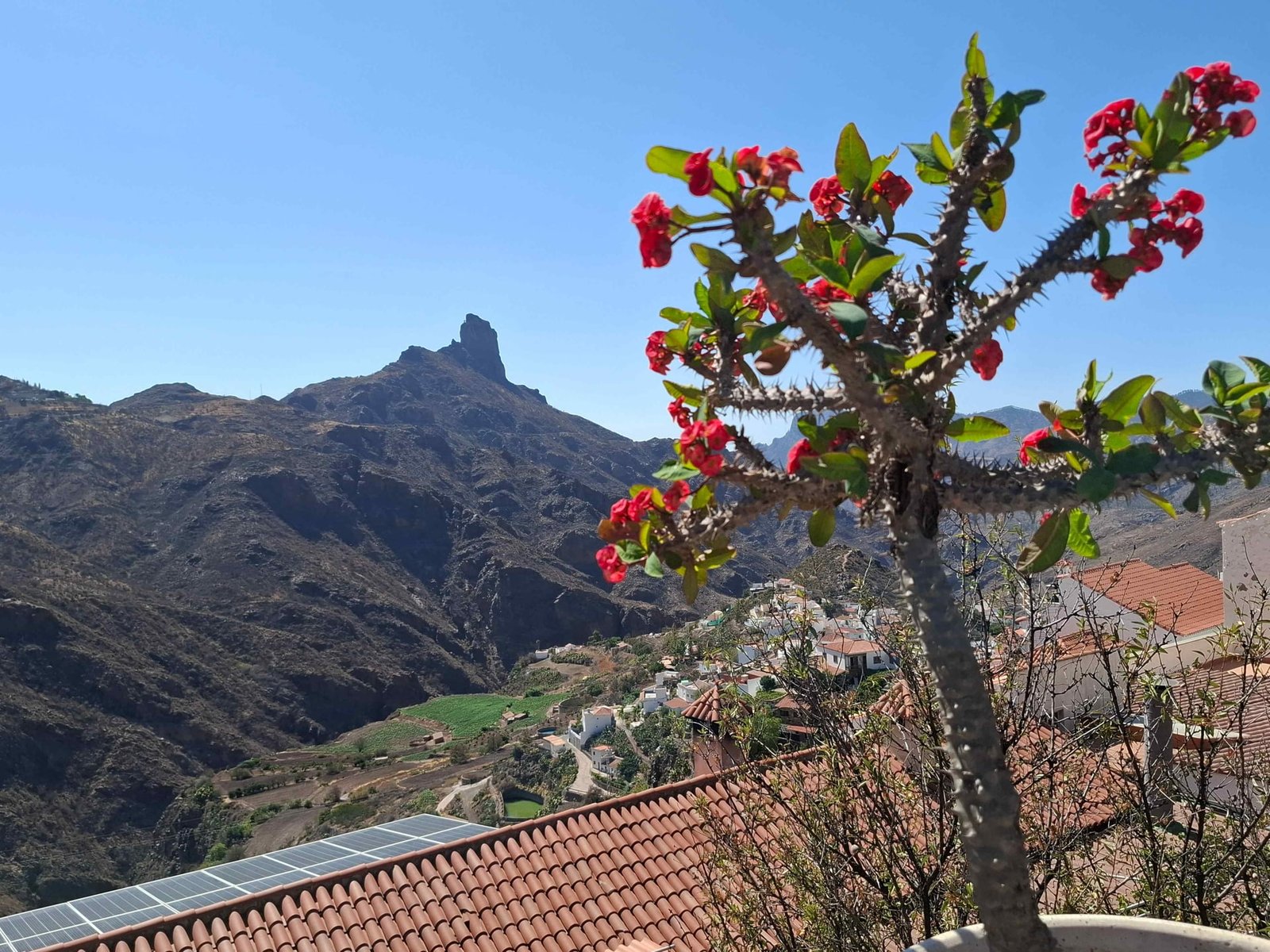 Vedere din Tejeda spre Roque de Bentayga