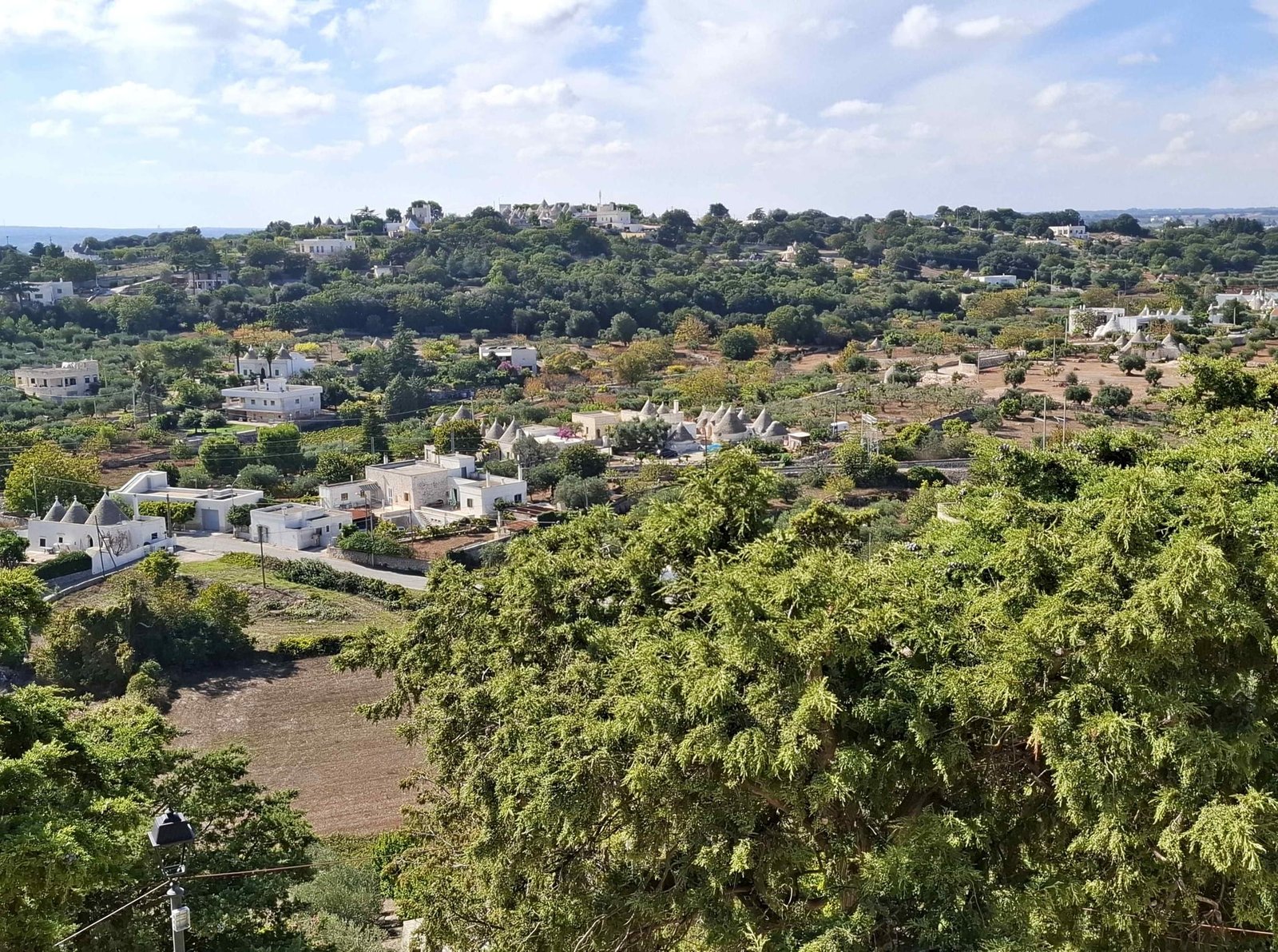 Vedere panoramică asupra Valle d'Itria de pe strada Via Nardelli din Locorotondo