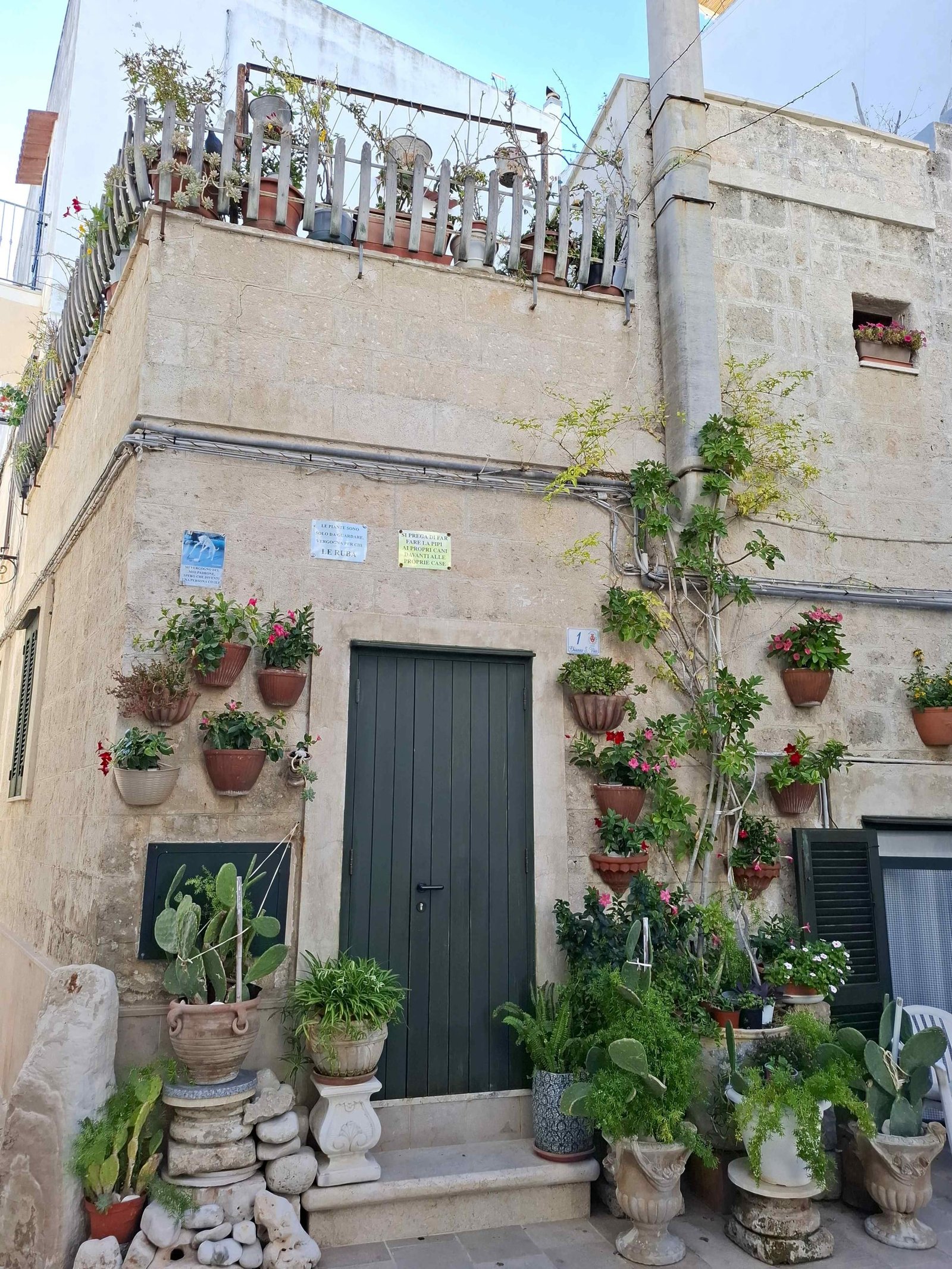 Intrare de casă decorată pitoresc cu ghivece și plante verzi în Monopoli