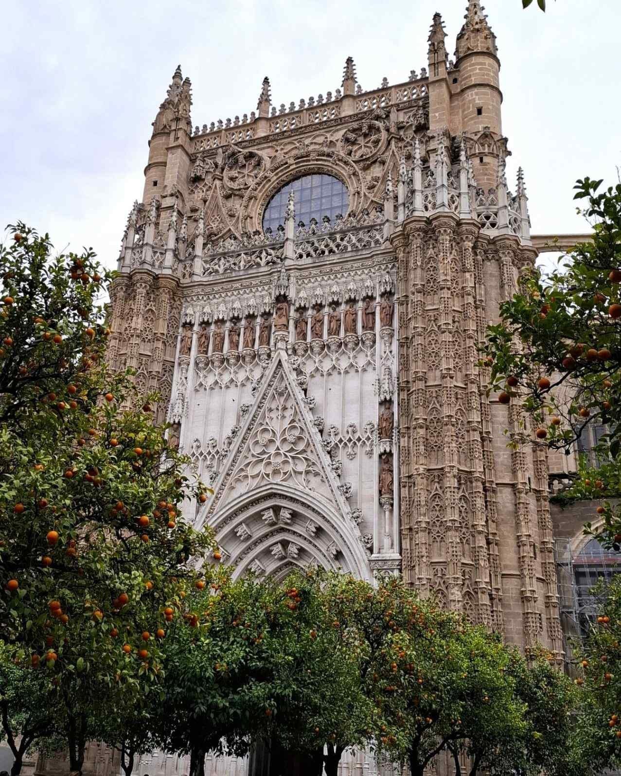 puerta concepcion curtea cu portocali