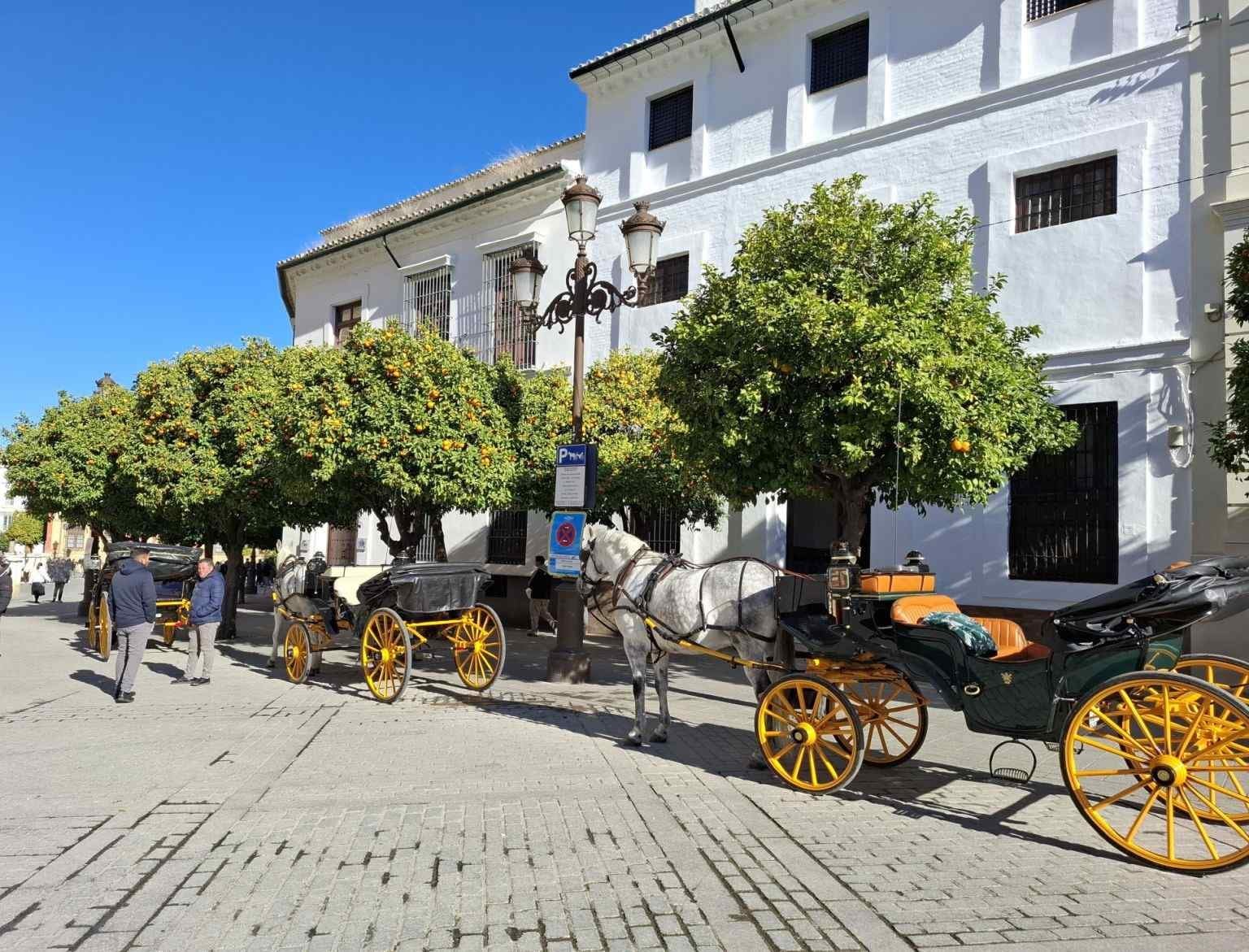 trasuri cu cai catedrala sevilla