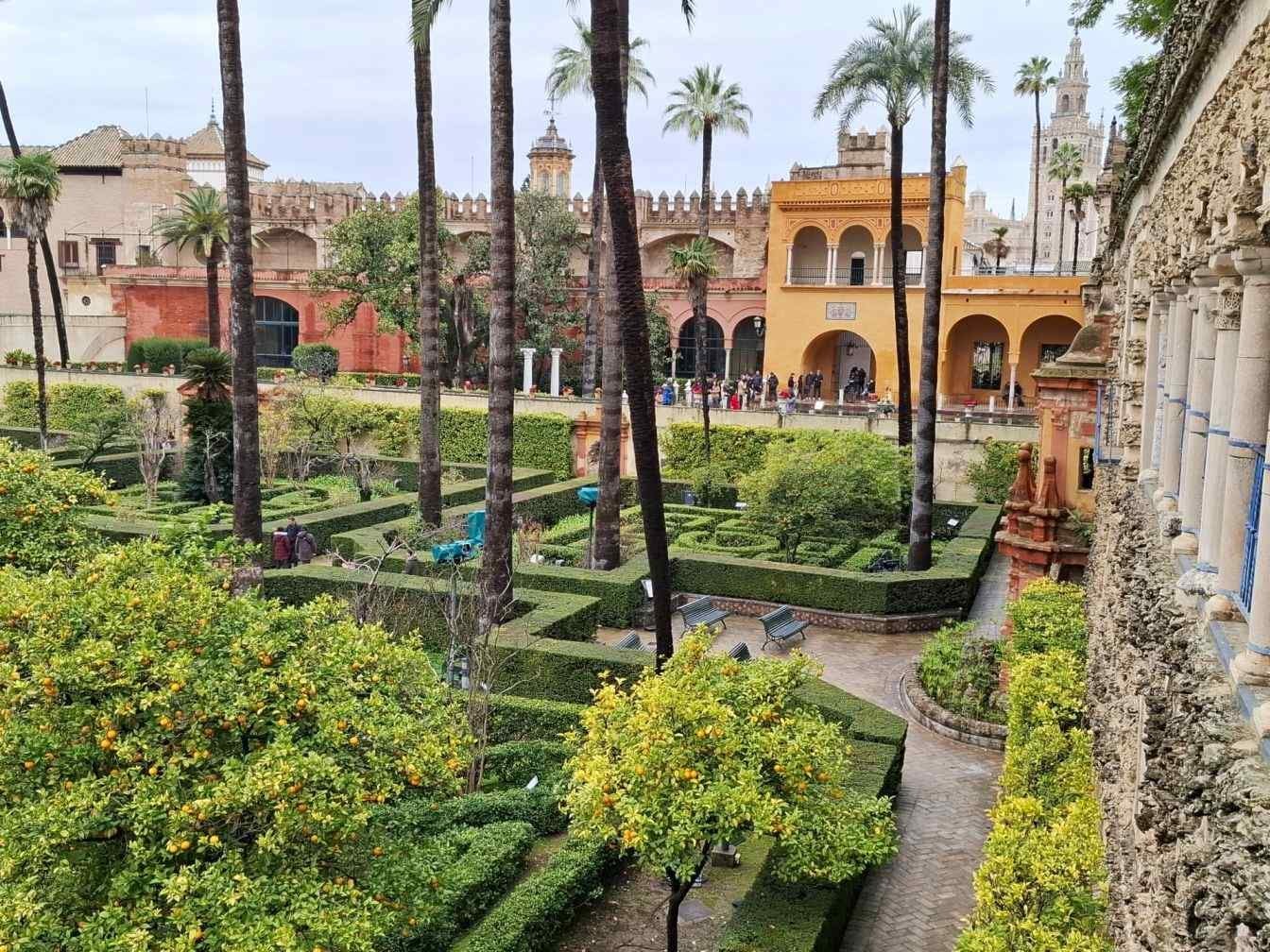 panorama gradini alcazar turnul giralda
