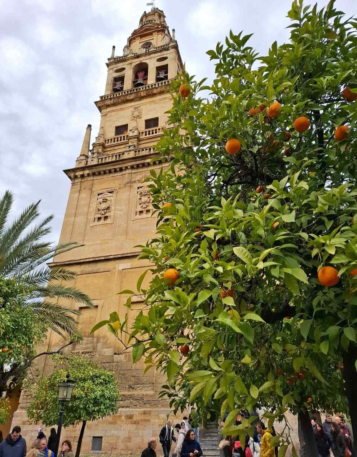 curtea portocalilor turn clopotnita mezquita cordoba