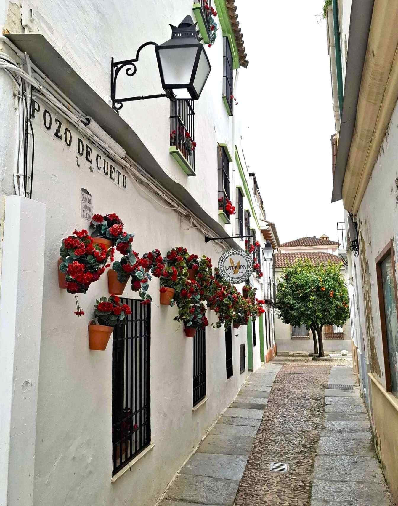 case albe ghivece flori cartierul evreiesc cordoba