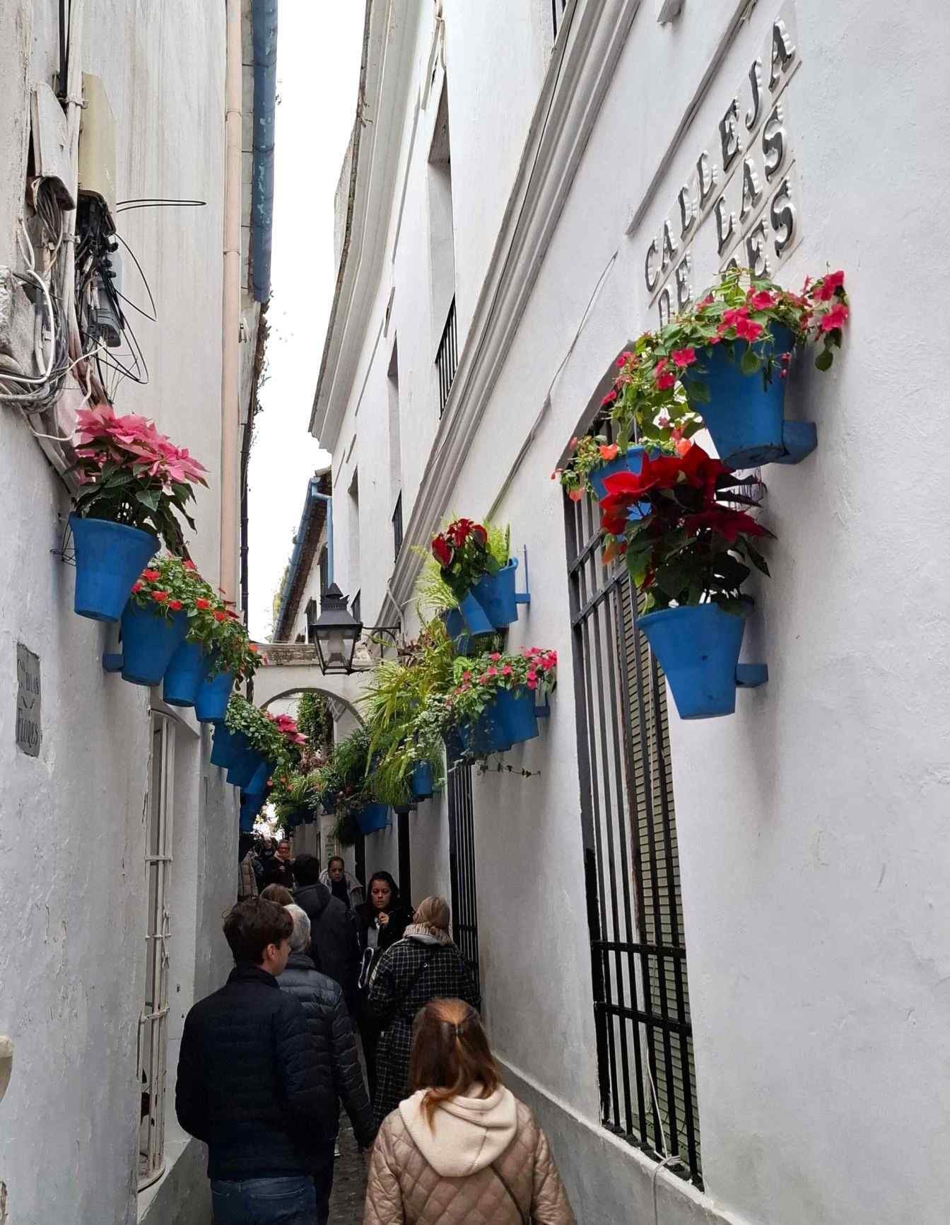 intrare calleja de las flores cordoba