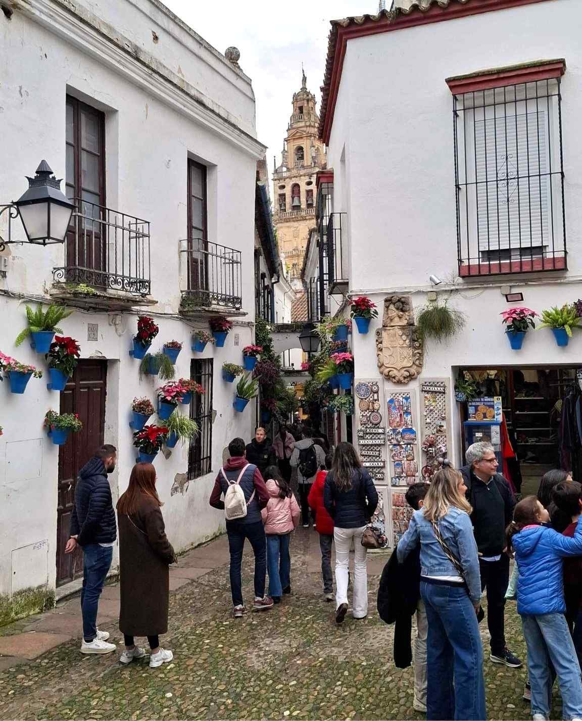 calleja de las flores turn catedrala cordoba
