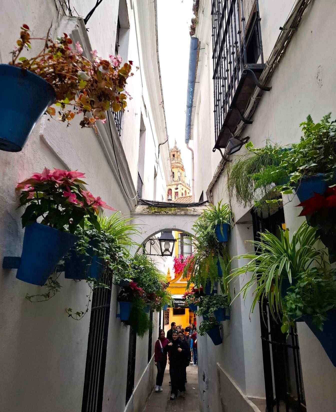 vedere ingusta turn clopotnita cordoba
