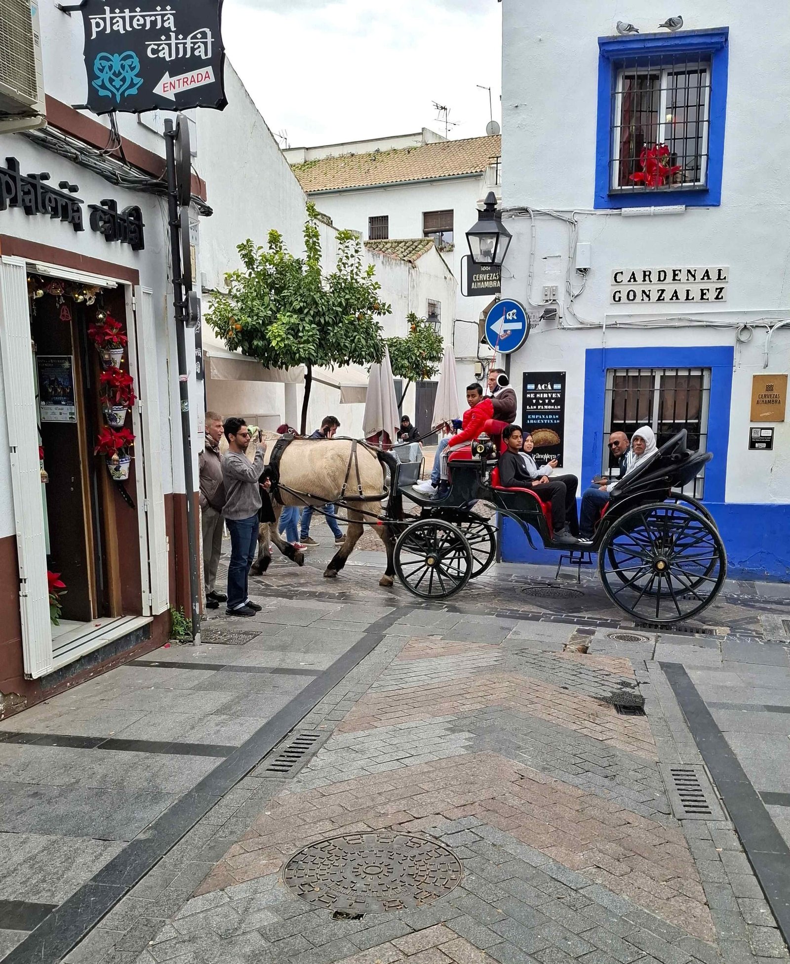 trasura cu cai centru istoric cordoba