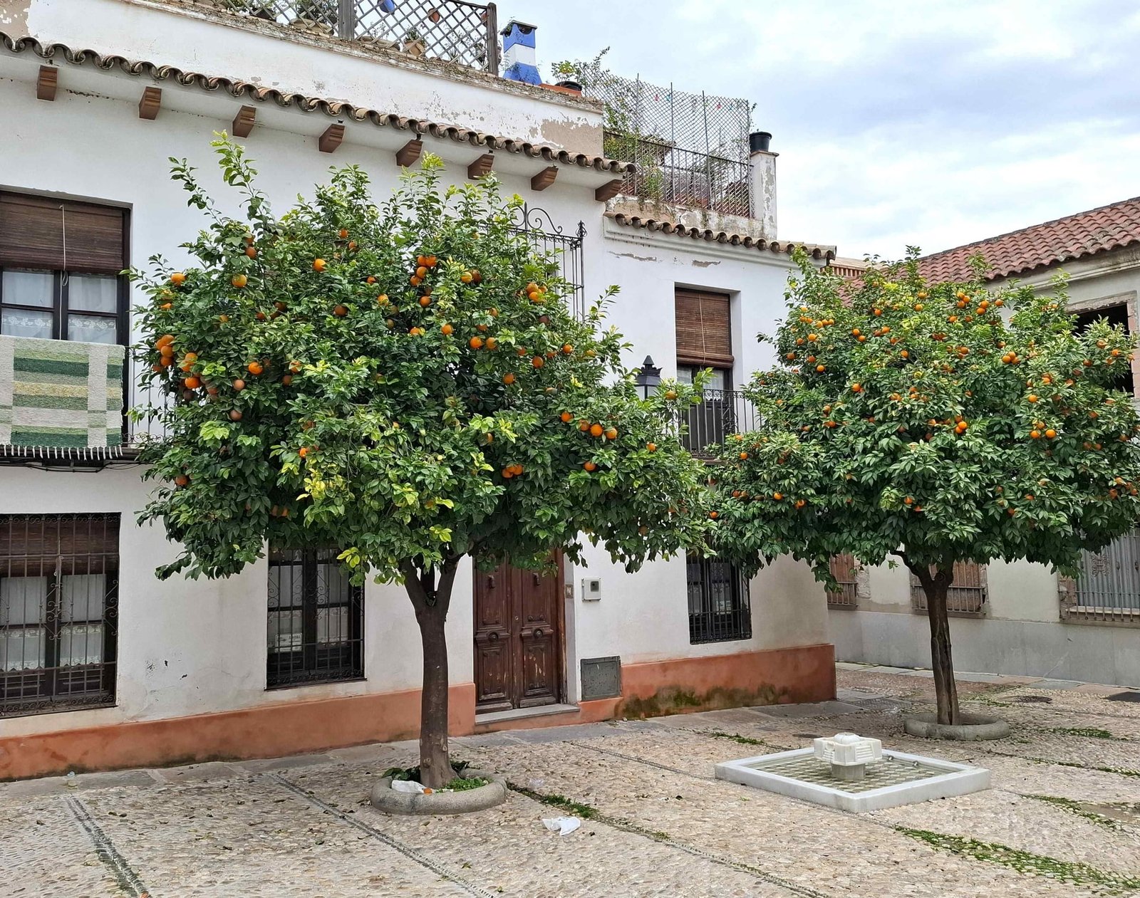 curte interioara portocali centru istoric cordoba