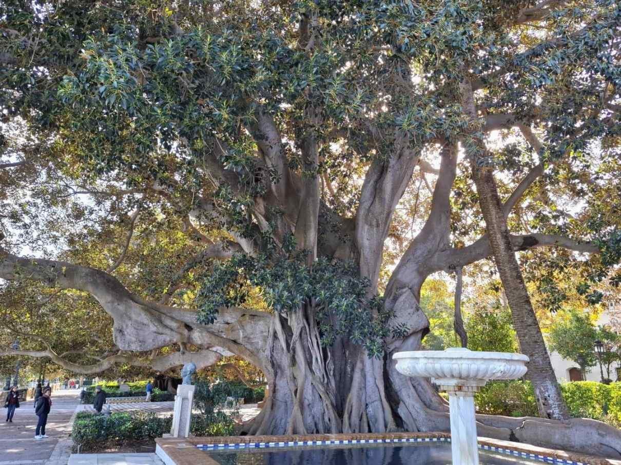 Ghid Cádiz pentru 1 zi: Ce vizitezi într-o excursie din Sevilla — 24