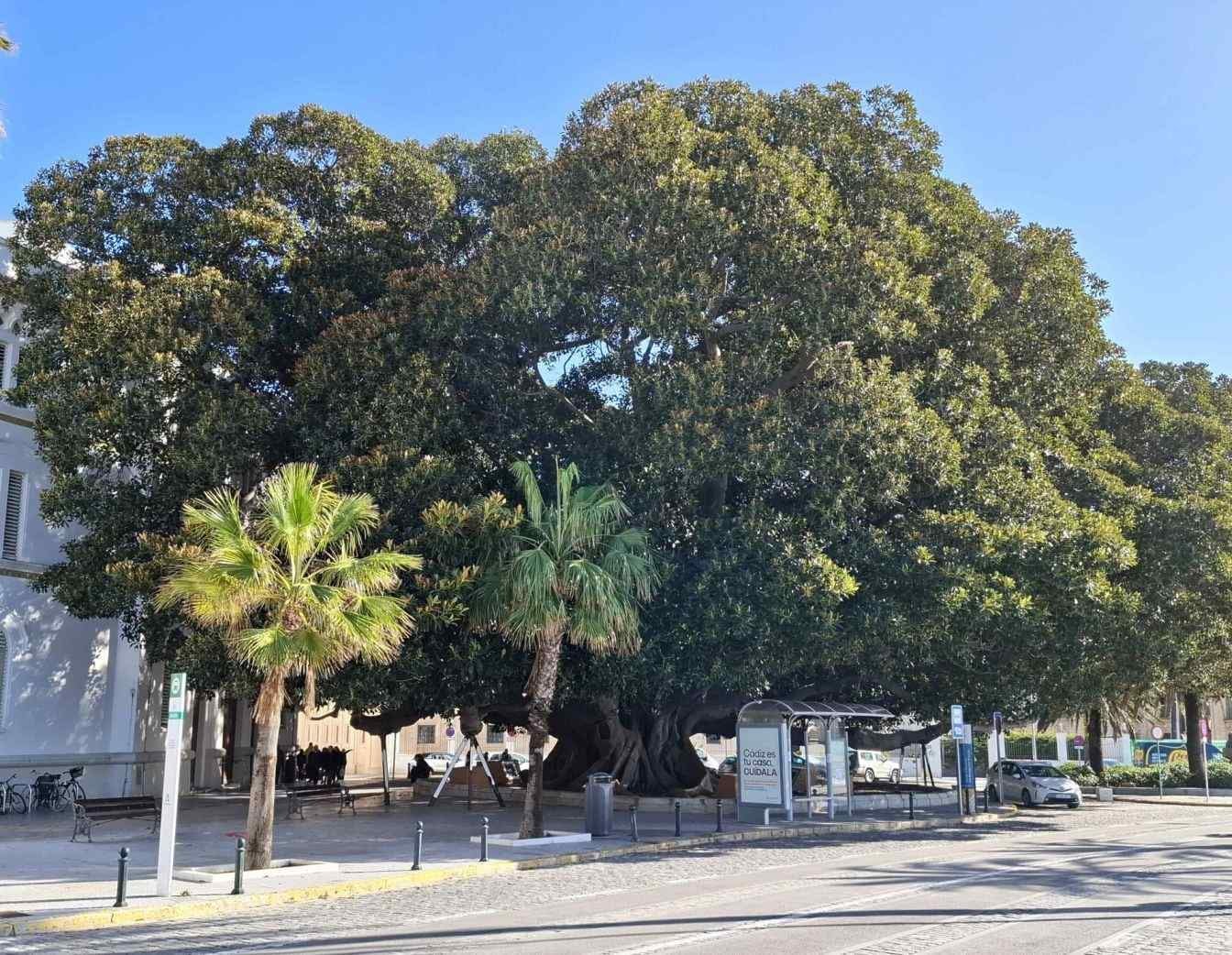 Ghid Cádiz pentru 1 zi: Ce vizitezi într-o excursie din Sevilla — 26