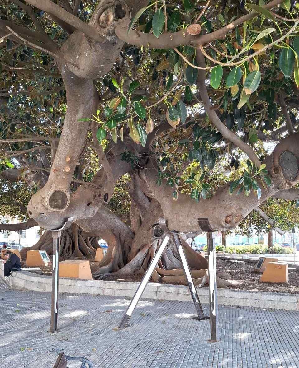 Ghid Cádiz pentru 1 zi: Ce vizitezi într-o excursie din Sevilla — 27